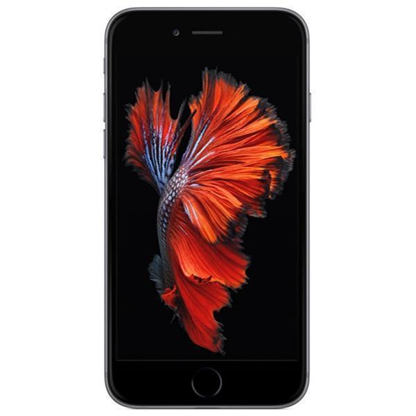  Celular App...