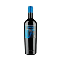 Vino Caballo Loco Grand Cru Apalta 750ML