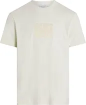 Camiseta Calvin Klein K10K112498CGA - Masculina