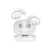  FTX Auricul...