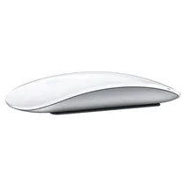  Apple Mouse...