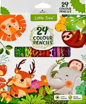 Lápis de Cor Little Tree MN512408 - e