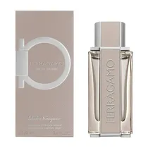 s.Ferragamo Bright Leather Masc 100ML Edt c/s