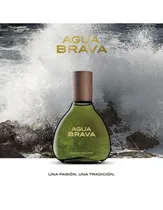  Agua Brava ...