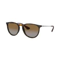  Ray Ban Len...