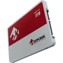 Keepdata HD SSD 1TB KDS1T-L21
