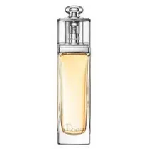 Christian Dior Addict Edicao Feminina 100 ML