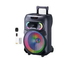 Speaker Party YE-1217 - 12" - Mic com Fio