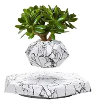 Flutuante Vaso Magnetico Flutuante Sate A-FP30