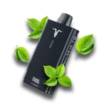 Ignite Vaper Desechable V150 Pro 15000PUFFS Menthol