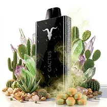  Ignite V80 ...