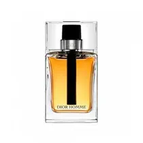 Perfume Christian Dior Homme Eau de Toilette Masculino 100ML