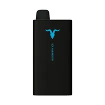 Ignite V400 Sweet Blueberry Ice 40.000 Puffs