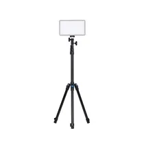 Amaran Light Stand (2M)