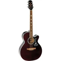 Takamine GN75CE WR