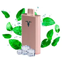 Ignite Vaper Desechable V250 Rose 25000PUFFS Icy Mint