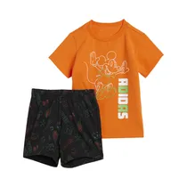  Conjunto In...