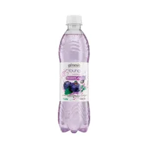 Agua Funcional Génesis Young Arándano - 500ML