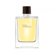 Hermes Terre'D Edt M 100ML