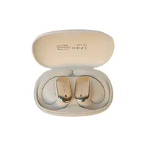  FTX Auricul...