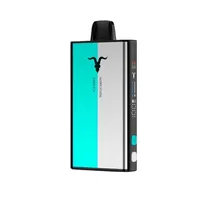 Ignite V-Mix 40K Icy Mint + Peach Grape 40000 Puffs