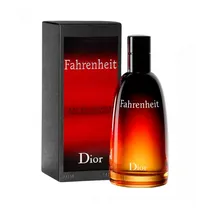 Perfume Dior Fahrenheit Edt Masculino 100ML