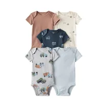  Conjunto Bo...