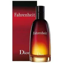 Christian Dior Fahrenheit Masculino Eau de Toilette 100ML