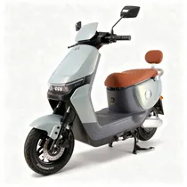 Motocicleta Eléctrica Bluhan T-N70 Pro 1000W