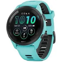  Garmin 010-...