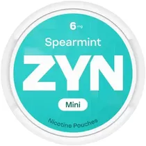  ZYN Pouches...