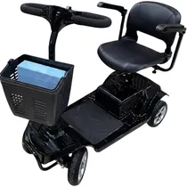  Scooter Elé...