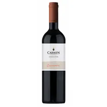  Carmen Insi...