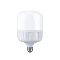  Lampada LED...