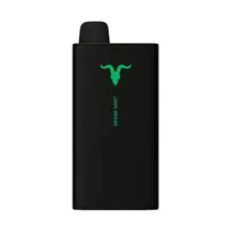 Ignite V400 Sweet Miami Mint 40.000 Puffs