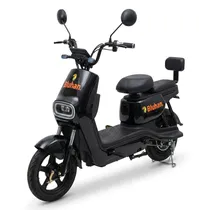 Moto Electr...