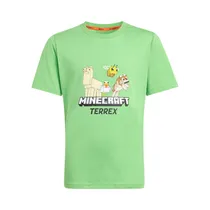  Remera Infa...