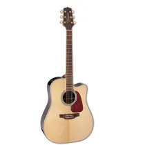Takamine GD71CE NT