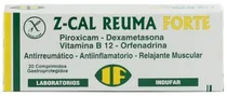  Z-Cal Reuma...