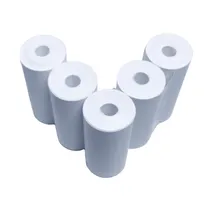 Papel Termico Rollo Sate A5-2 p/Mini Imp c/5 Unidades 57X25