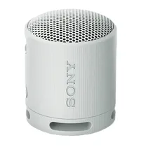 Sony Speaker Portatil SRS-XB100 Gray