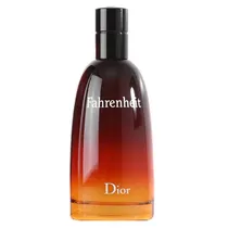 Dior Fahrenheit H Eau de Toilette 100ML