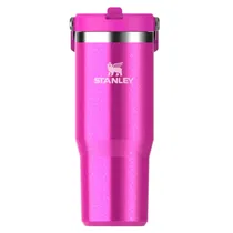 Stanley Termo Termica Flip Straw Tumbler 887ML Punch Shimer