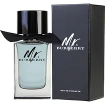Burberry MR Burberry Edt 100ML Masc