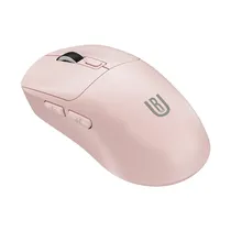  Mouse Sem F...