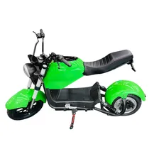 Motocicleta Elétrica Iz Y21 - 2000W - 35KM/H - Verde
