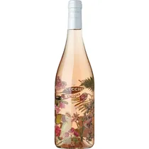  Cecchi Vino...