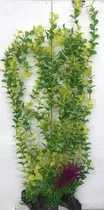  Planta Arti...