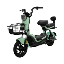  Moto Eléctr...