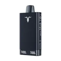 Ignite V150 Pro Pineapple Ice 15.000 Puffs
